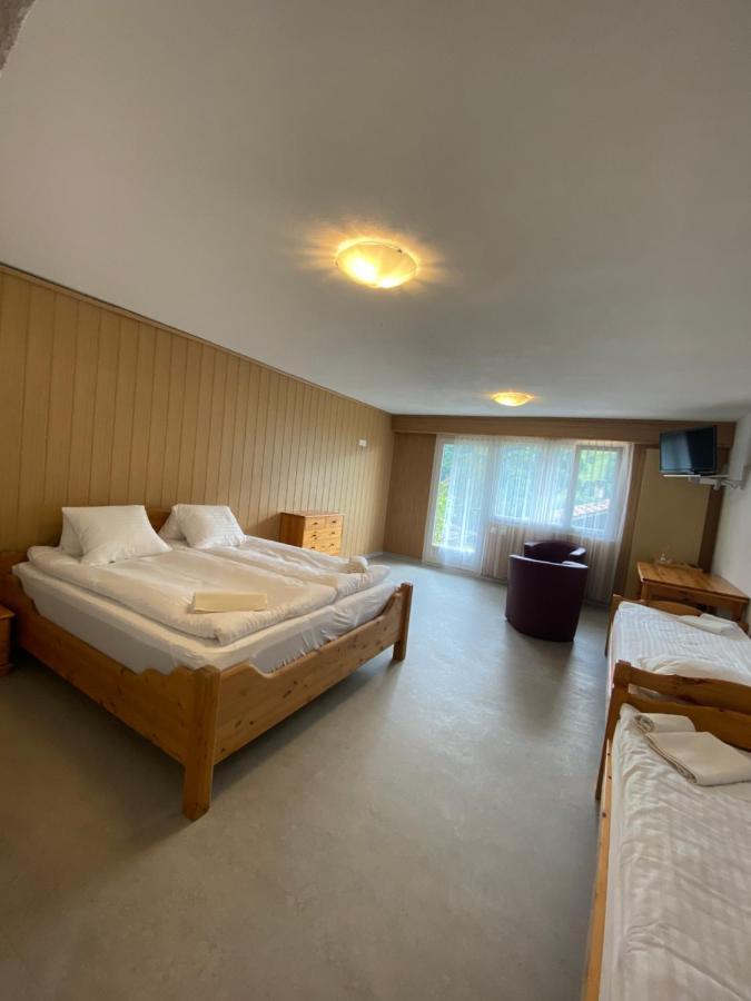 Sky Rooms, Mountainous View Saas im Prattigau Exteriör bild