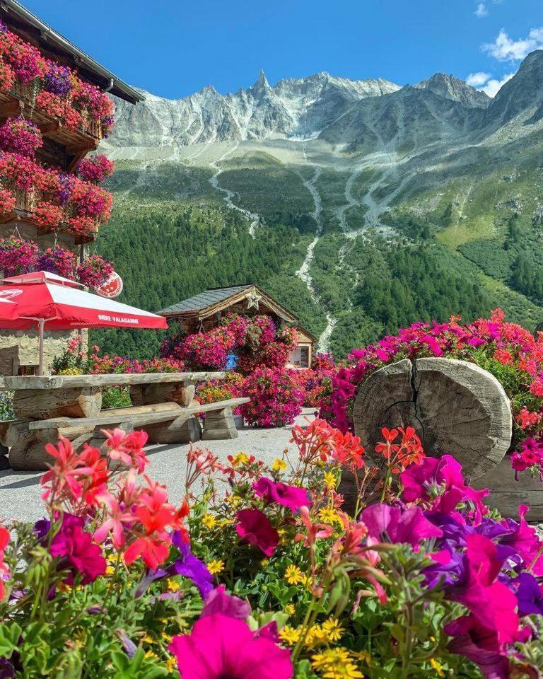Sky Rooms, Mountainous View Saas im Prattigau Exteriör bild